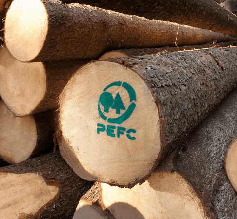 PEFC Holz für deinen Stuhl